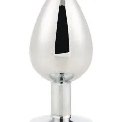 Dream Toys Zilveren Buttplug Gleaming - L* -Buttpluggs Winkel 21787 2