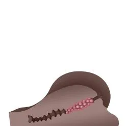 Masturbator A Handful Gender X - Bruin 18 Masturbator A Handful Gender X - Bruin -Buttpluggs Winkel 840672 3